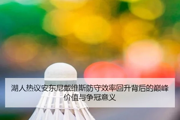 湖人热议安东尼戴维斯防守效率回升背后的巅峰价值与争冠意义